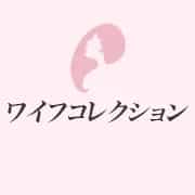 ワイフコレクション
