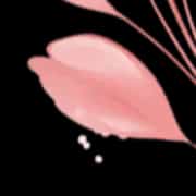KONOHANA〜木の花〜