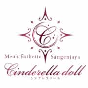 Cinderella Doll（シンデレラドール）