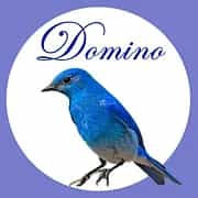 Domino（ドミノ）