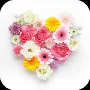 aroma sweet healing