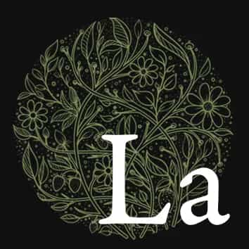 La Jelly （ラジェリー）｜茅ヶ崎・平塚ルーム