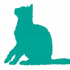 ねこのしっぽ