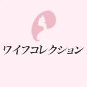 ワイフコレクション