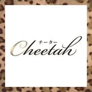 Cheetah チーター