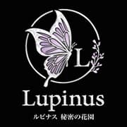 Lupinus（ルピナス）