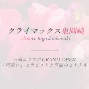 クライマックス東岡崎