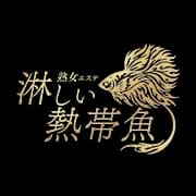 Mrs.淋しい熱帯魚｜宇都宮ルーム