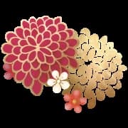 百花繚乱｜立川・日野