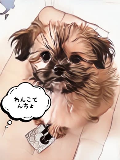 画像1：店長｜スウィーティー｜熊本県 熊本・宇土