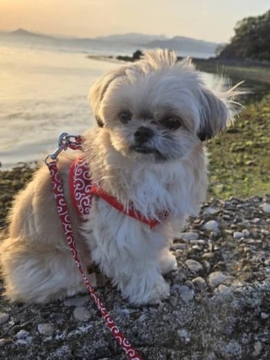 画像2：店長｜スウィーティー｜熊本県 熊本・宇土