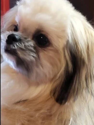 画像3：店長｜スウィーティー｜熊本県 熊本・宇土