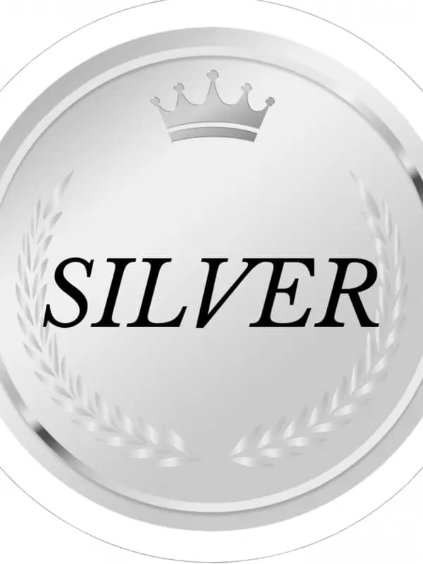 シルバーセラピスト