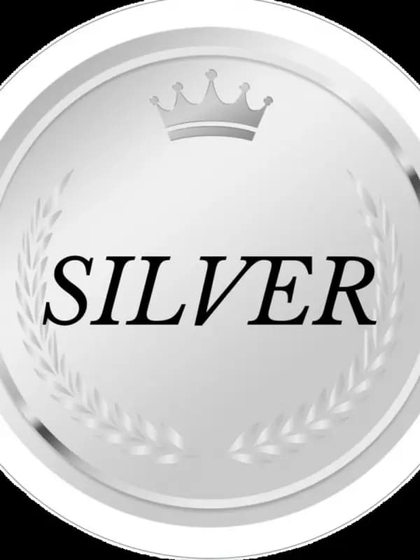 シルバーセラピスト