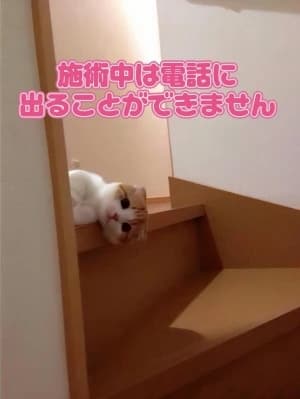 プロフィールページ｜赤坂メンズエステ 出張マッサージ スパ【privatesalon waka】