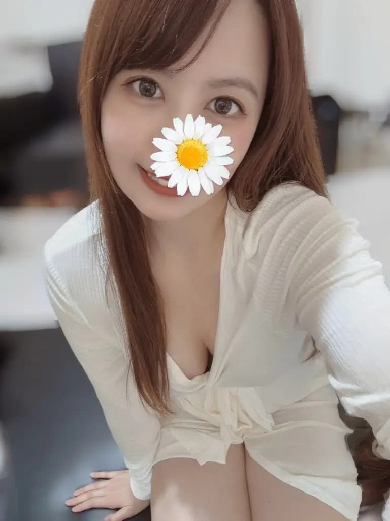 美波ここ | 竜宮城