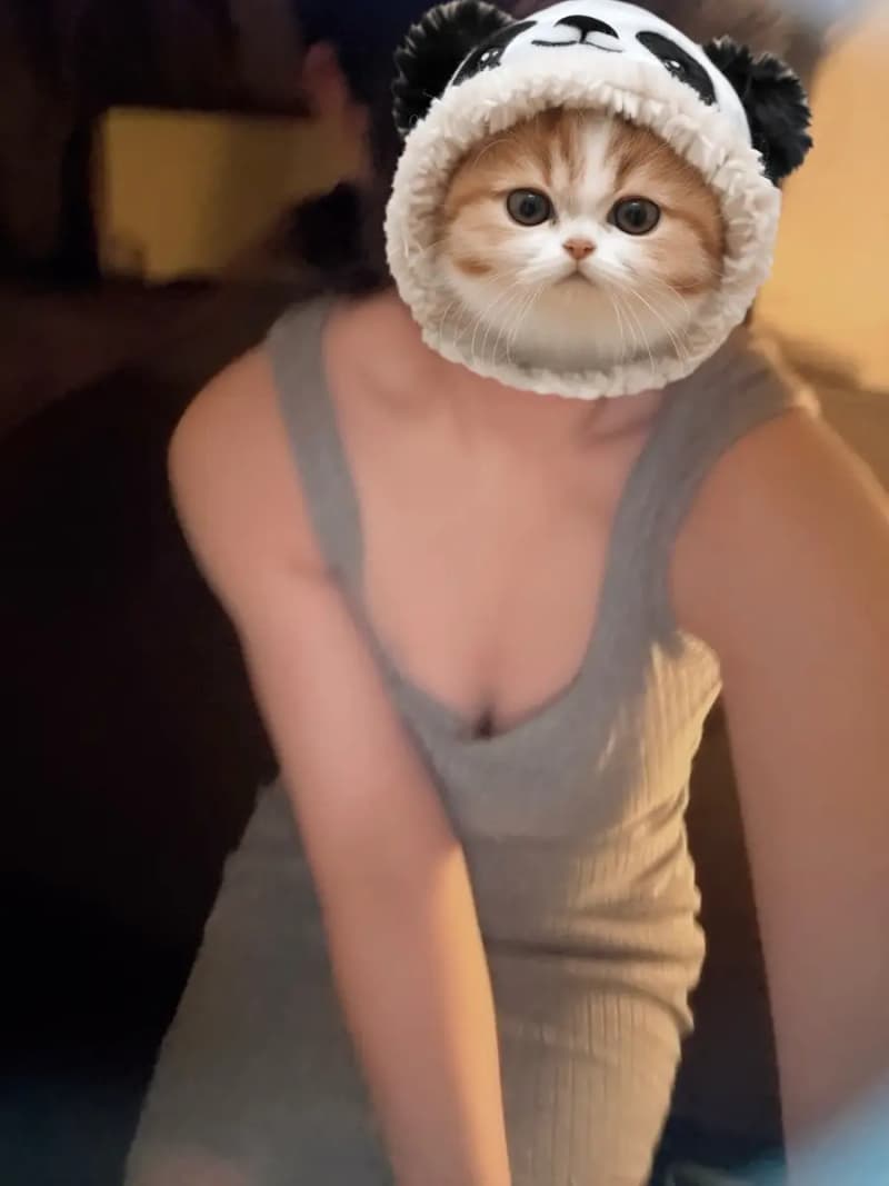 こころ