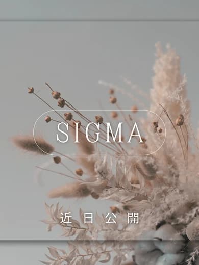 岐阜エリア・北方 メンズエステ「SIGMA SPA~シグマスパ~」 | 莉瑚(りこ) プロフィール