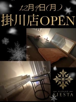 浜松メンズエステサロン『メンズエステSIESTA~シエスタ』