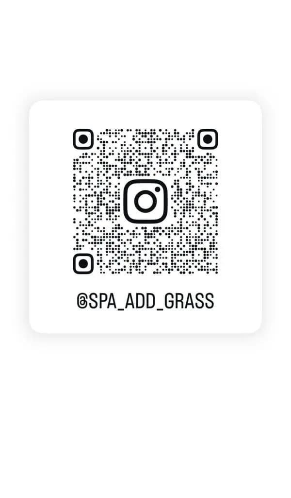 Ins