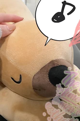 パム クマ室長