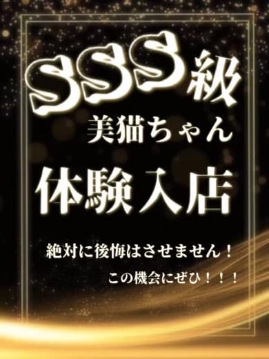 小倉のメンズエステなら【Aroma Cats(アロマキャッツ)】 | SSS級美女体験入店z プロフィール